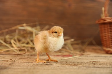 Photo of Cute chick on wooden table. Baby animal