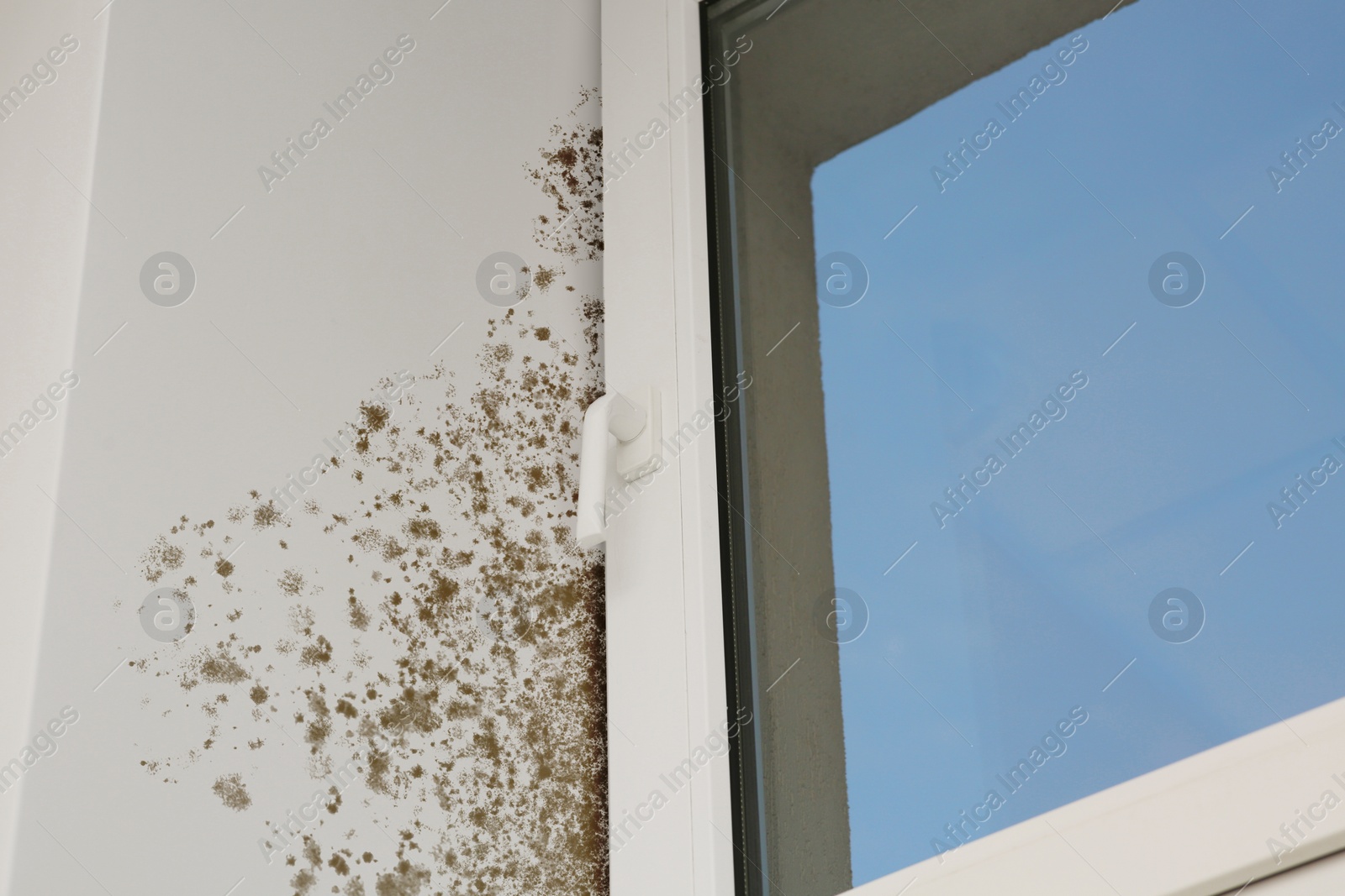 Image of Window slope affected with mold in room