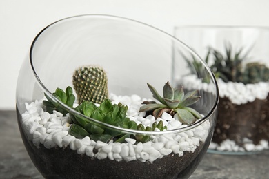Photo of Glass florarium with different succulents on table, closeup. Space for text