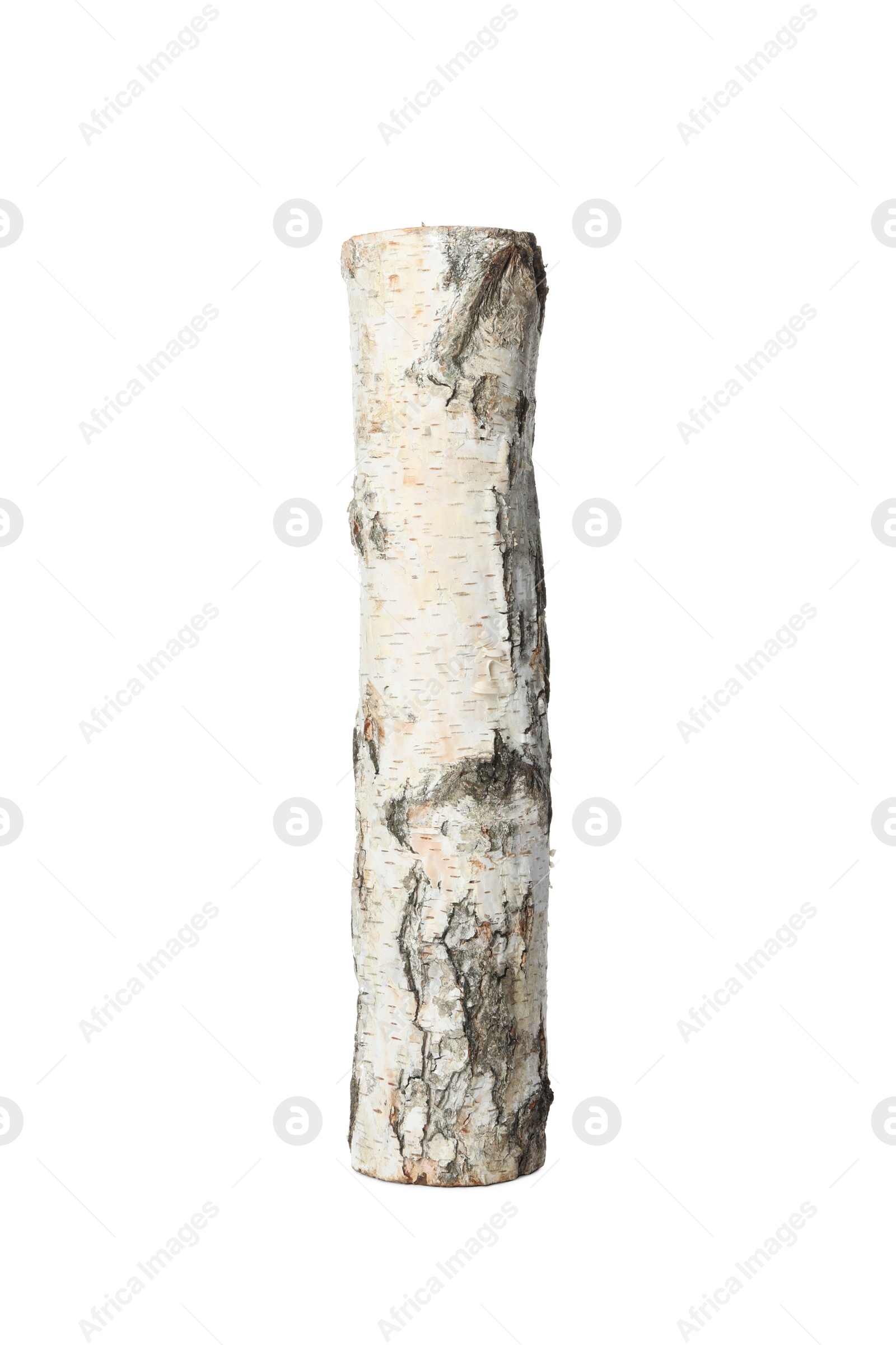 Photo of Cut firewood on white background. Heating in winter