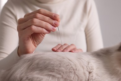 Photo of Veterinary holding acupuncture needle near cat's back, closeup. Animal treatment