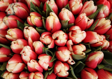 Beautiful bouquet of tulip flowers, top view