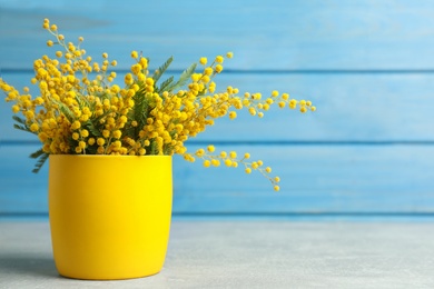 Bouquet of beautiful mimosa flowers on grey table