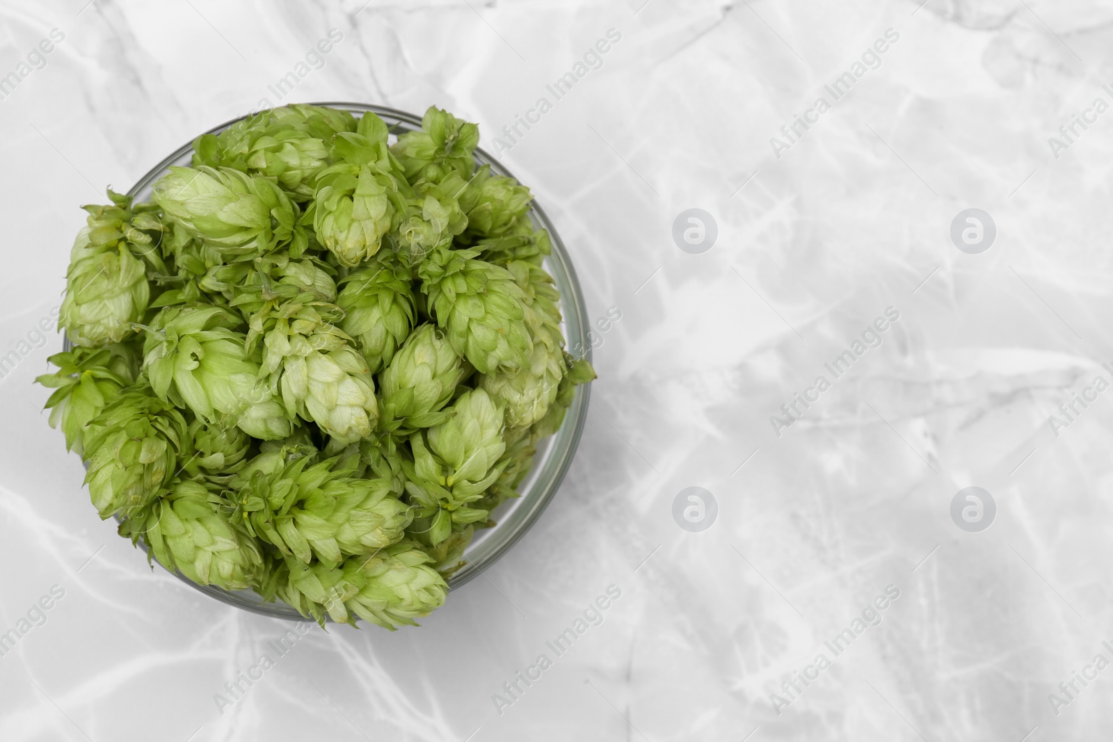 Photo of Bowl of fresh green hops on light grey marble table, top view. Space for text