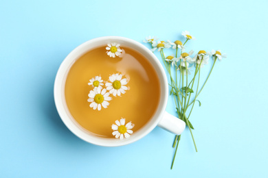 Photo of Cup of tea and chamomile flowers on light blue background, flat lay