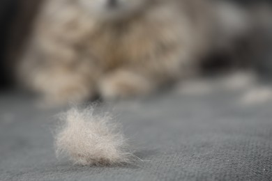 Photo of Pet shedding. Heap of cat hair on grey sofa, selective focus. Space for text