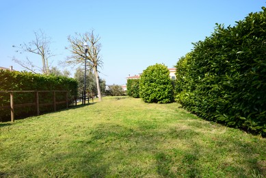Photo of Beautiful city park with shrubbery and trees on sunny spring day
