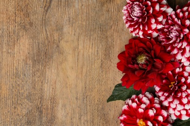 Beautiful dahlia flowers on wooden background, flat lay. Space for text