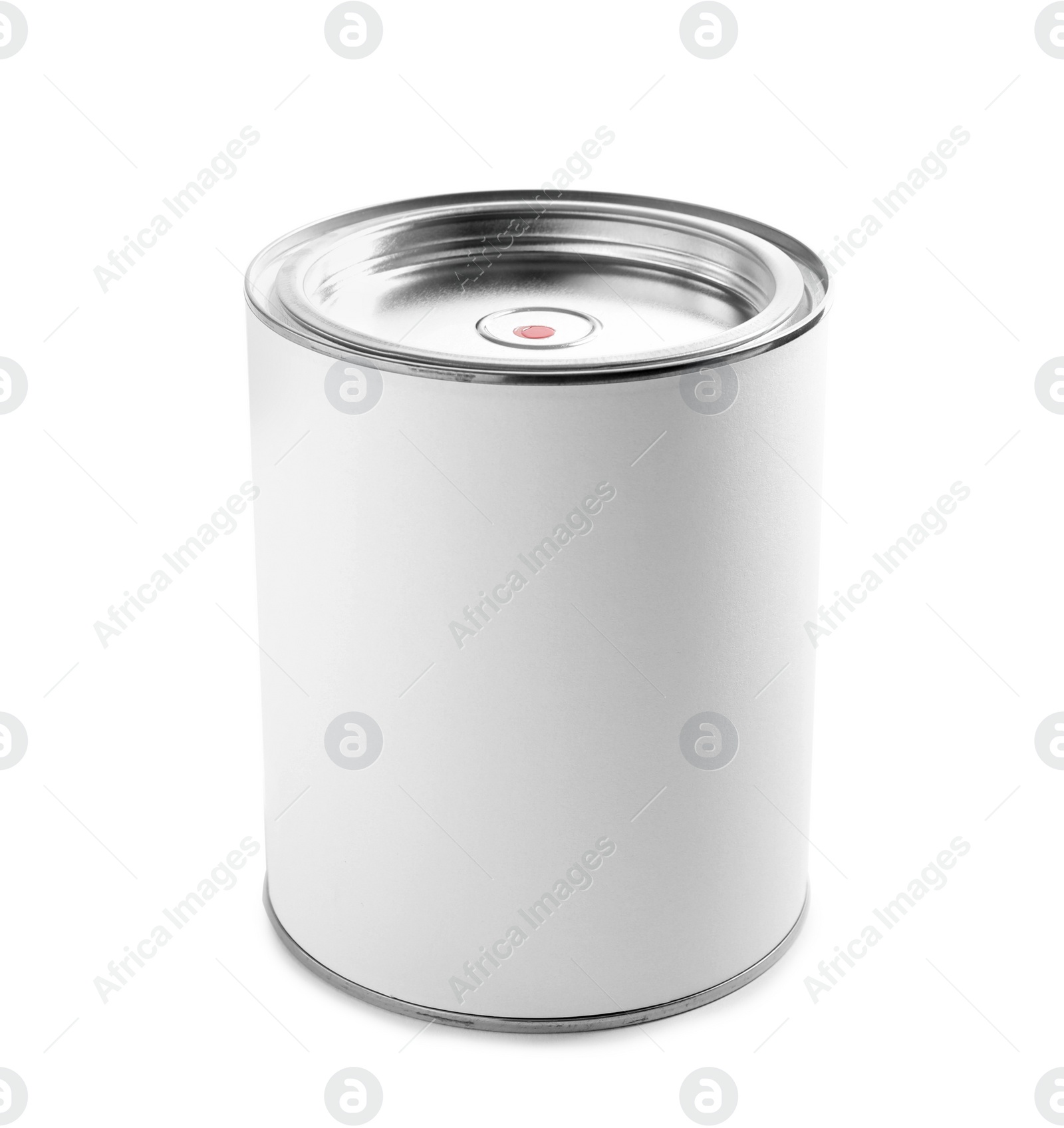 Photo of Closed blank can of paint isolated on white