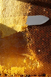 Uncapping honey cells with knife, closeup view