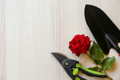 Secateurs, rose and shovel on white wooden table, flat lay. Space for text