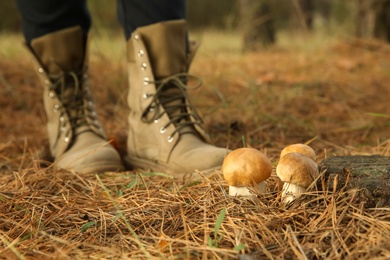 Photo of Person standing near porcini mushrooms in forest, closeup