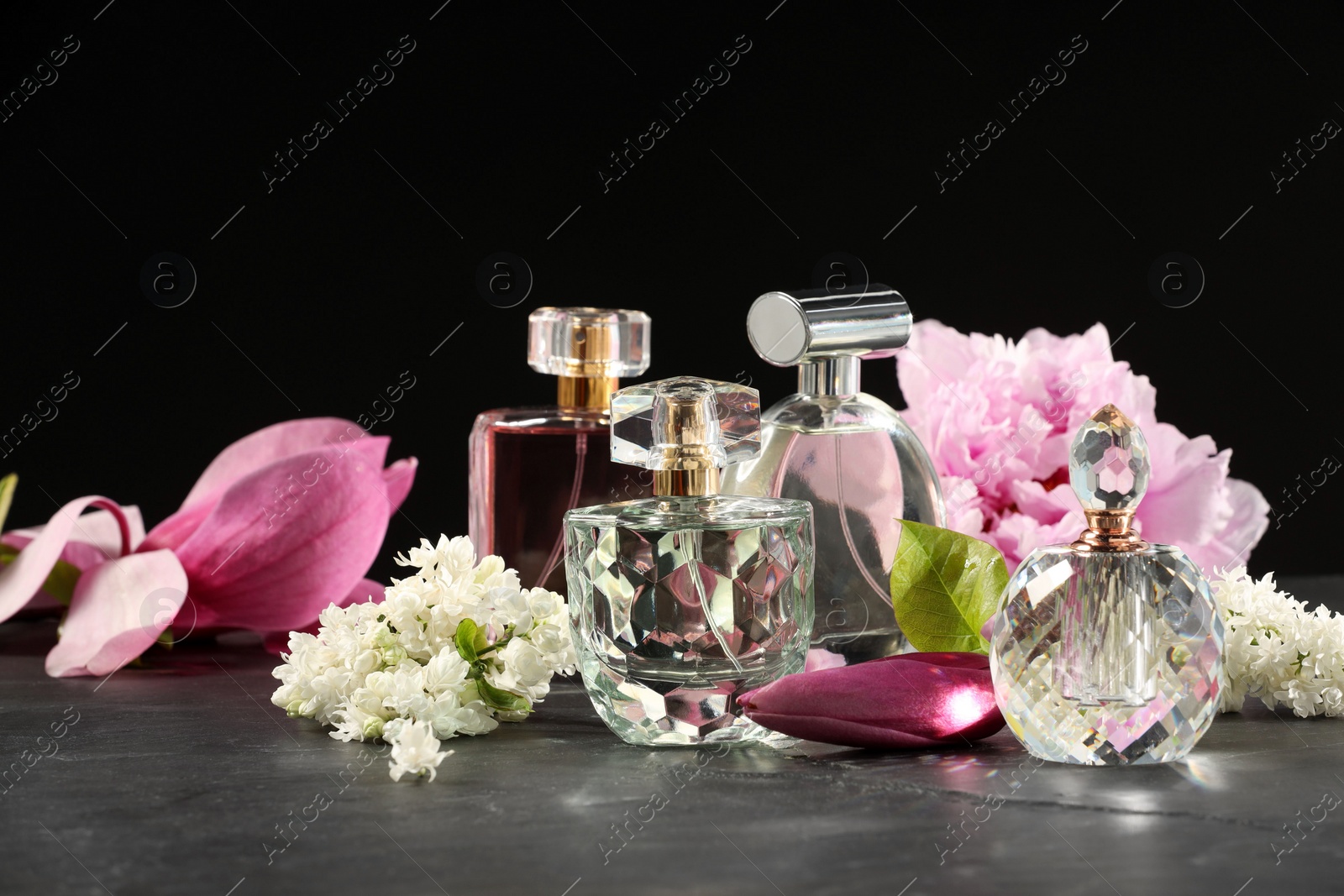 Photo of Luxury perfumes and floral decor on grey table against black background