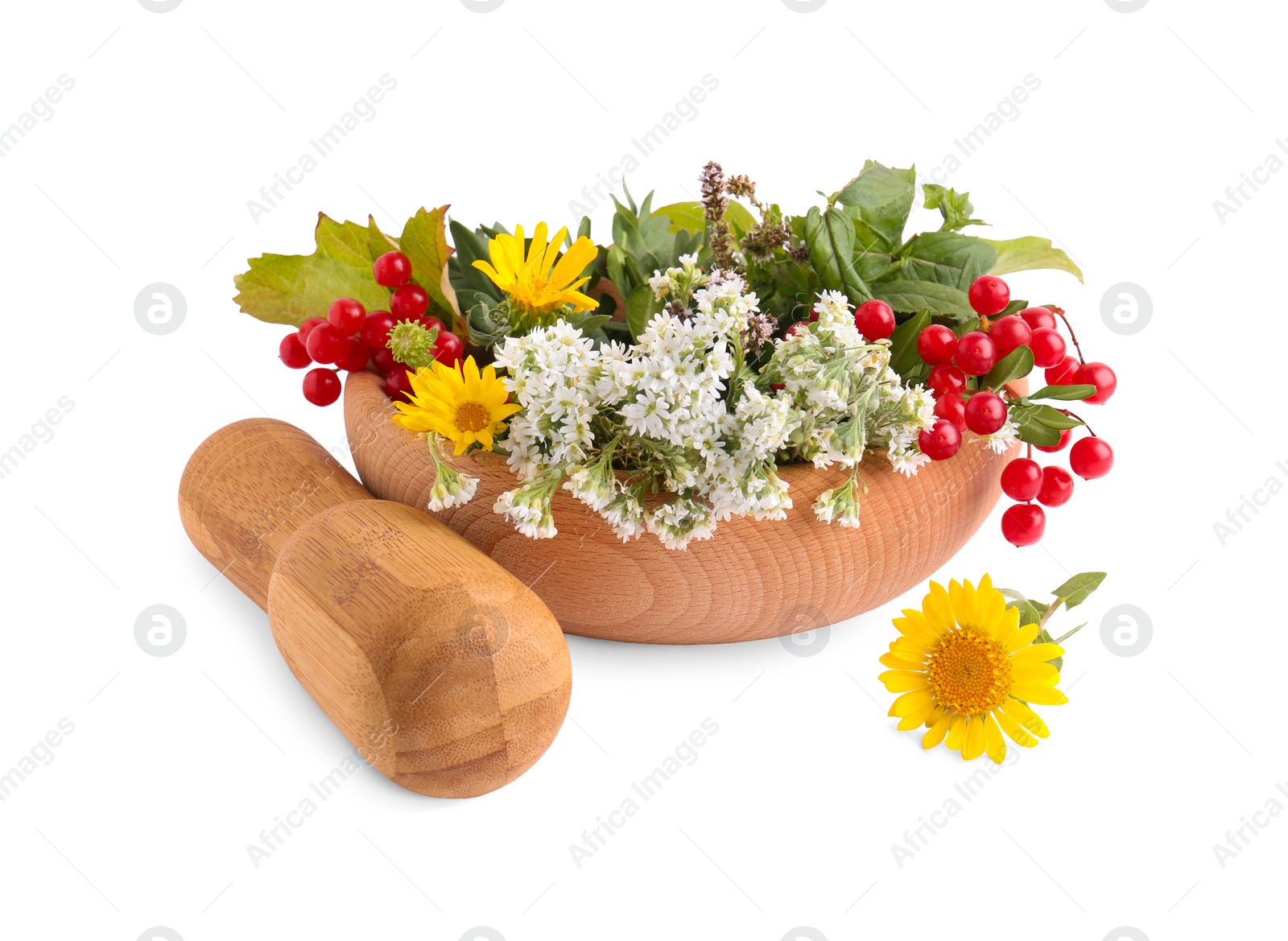 Photo of Wooden mortar with different flowers, berries and pestle on white background