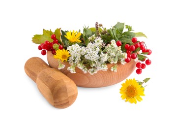 Photo of Wooden mortar with different flowers, berries and pestle on white background