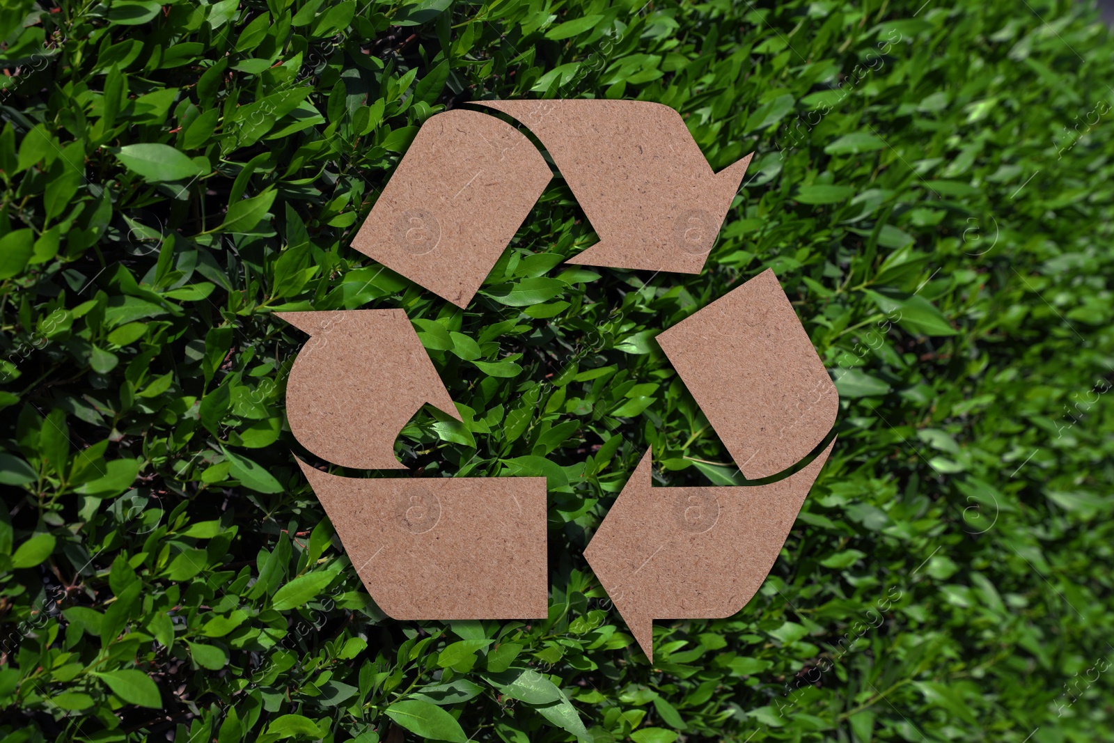 Image of Recycling symbol cut out of kraft paper and fresh green leaves on background