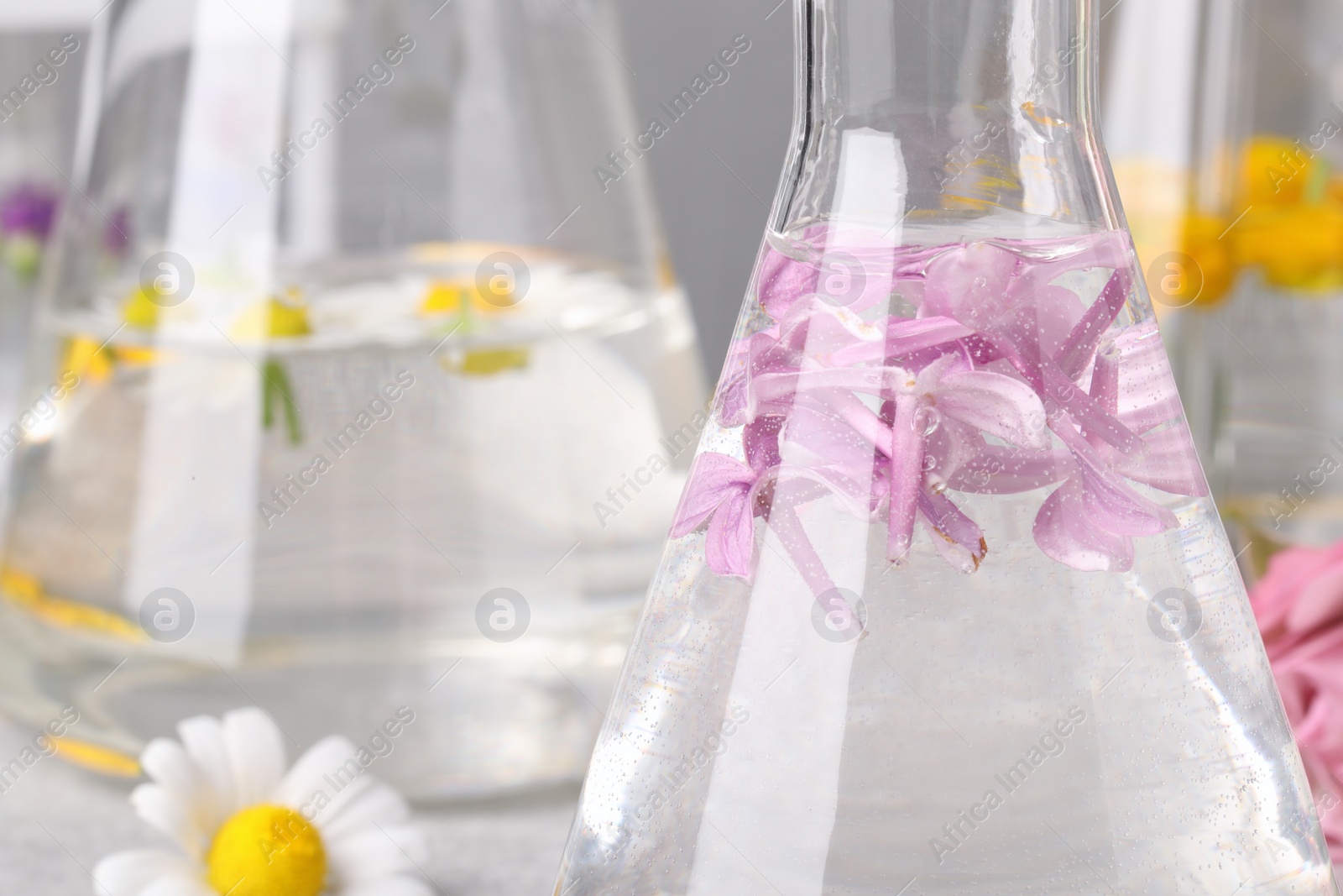 Photo of Flask with lilac flowers, closeup. Essential oil extraction