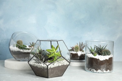 Glass florariums with different succulents on table against color background, space for text