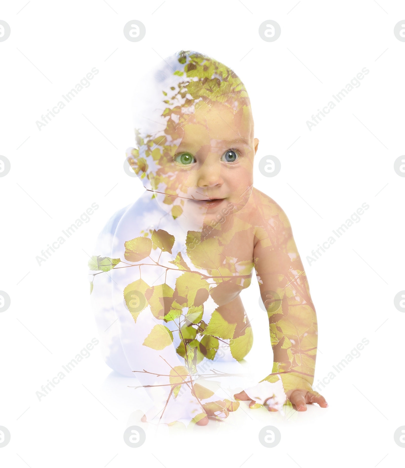 Image of Double exposure of cute little child and green tree on white background