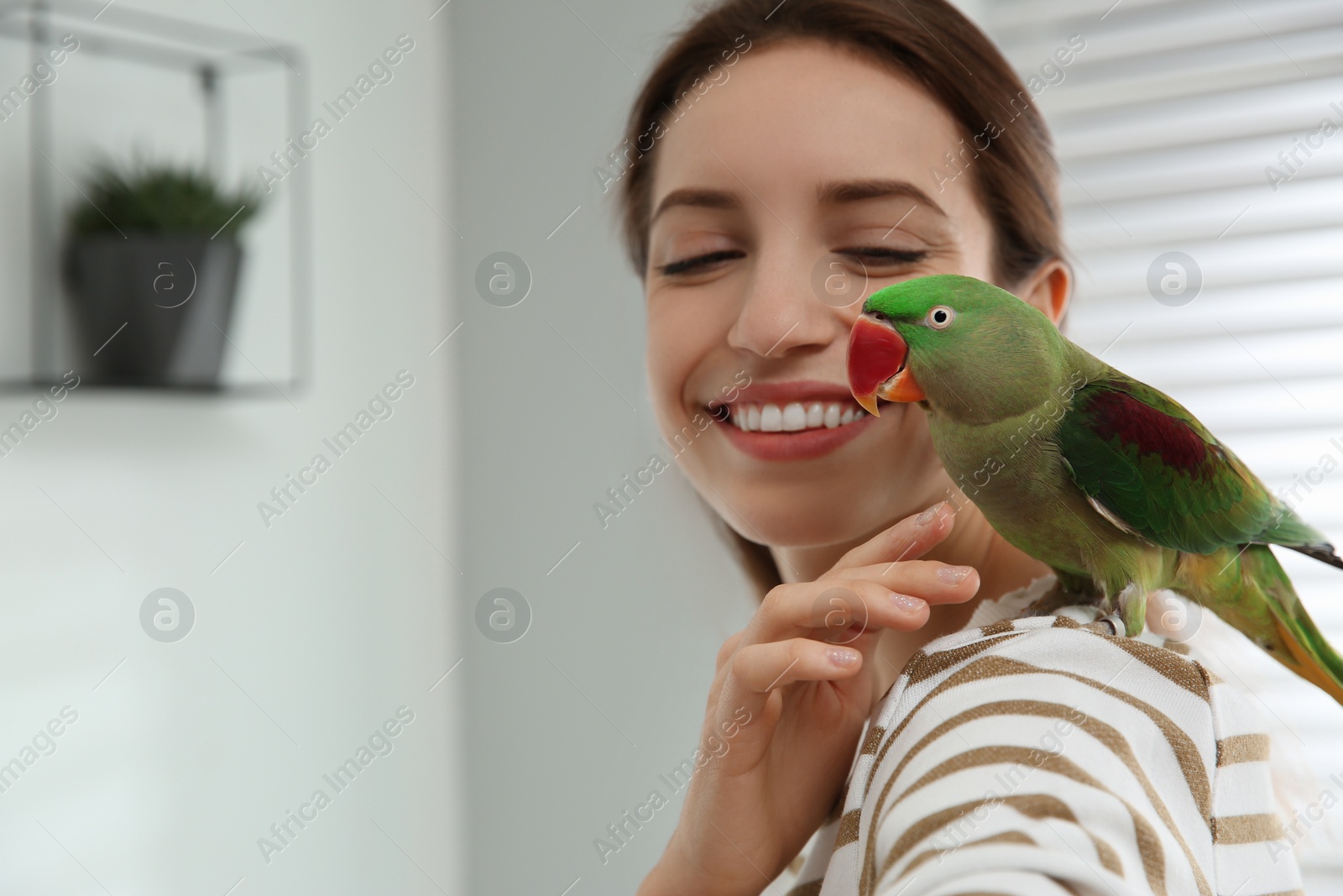 Photo of Young woman with cute Alexandrine parakeet indoors