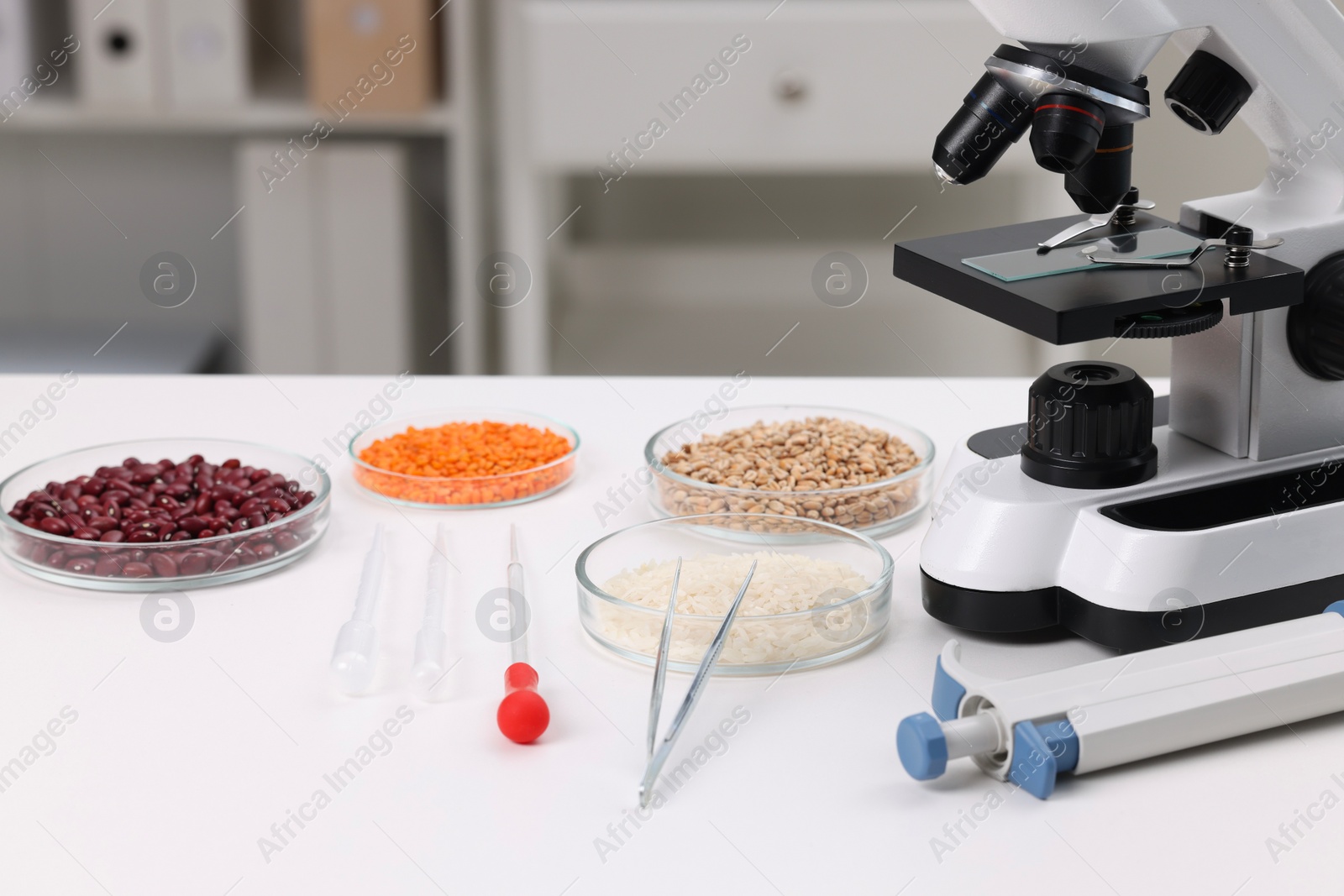 Photo of Food Quality Control. Microscope, petri dishes with different products and other laboratory equipment on white table