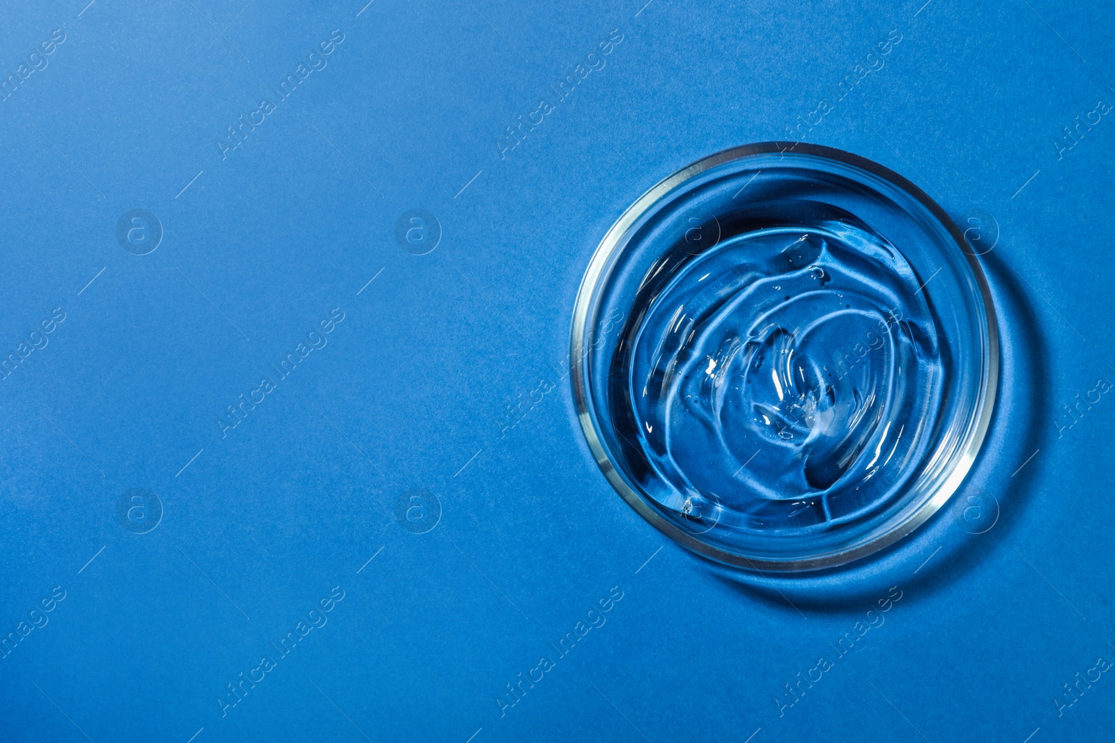 Photo of Petri dish with liquid on blue background, top view. Space for text