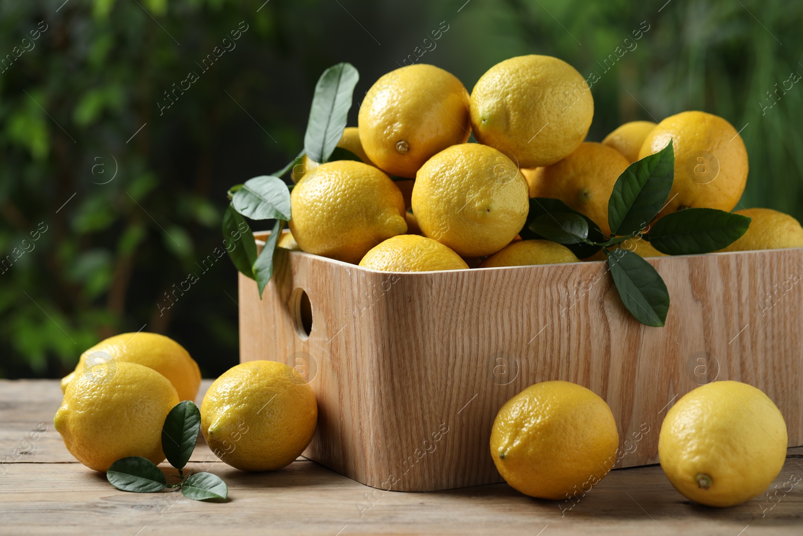 Photo of Fresh lemons in crate on wooden table. Space for text