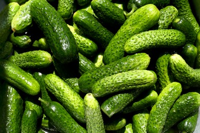 Photo of Many fresh ripe cucumbers as background, top view