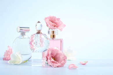 Photo of Bottles of luxury perfumes and floral decor on light background. Space for text