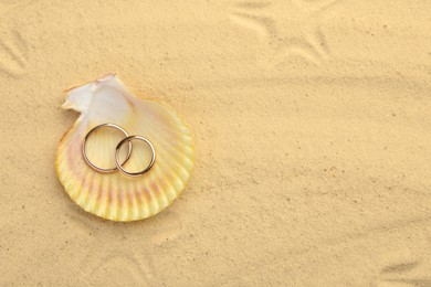 Photo of Honeymoon concept. Two golden rings with shell on sand, top view. Space for text