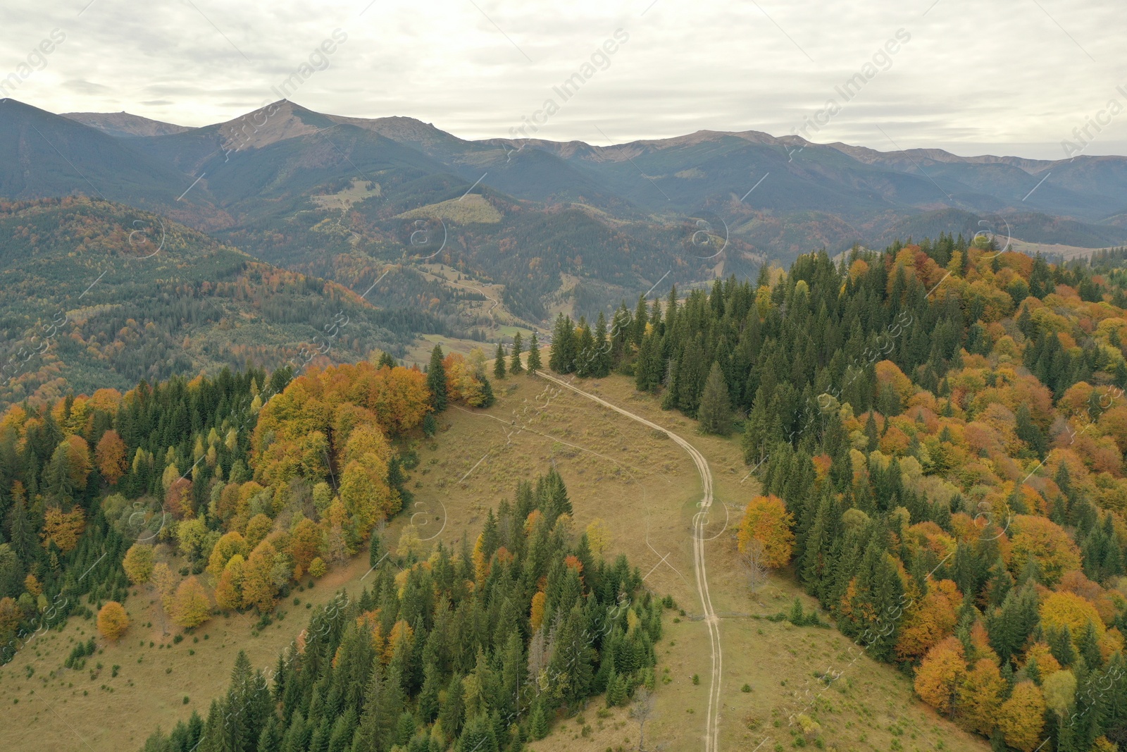 Photo of Aerial view of beautiful mountain forest with countryside road on autumn day