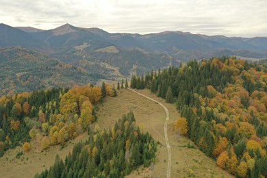 Aerial view of beautiful mountain forest with countryside road on autumn day