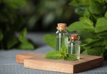 Photo of Bottles of mint essential oil and green leaves on grey wooden table, closeup. Space for text
