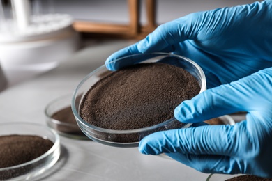 Woman holding Petri dish with soil sample over table, closeup. Laboratory research