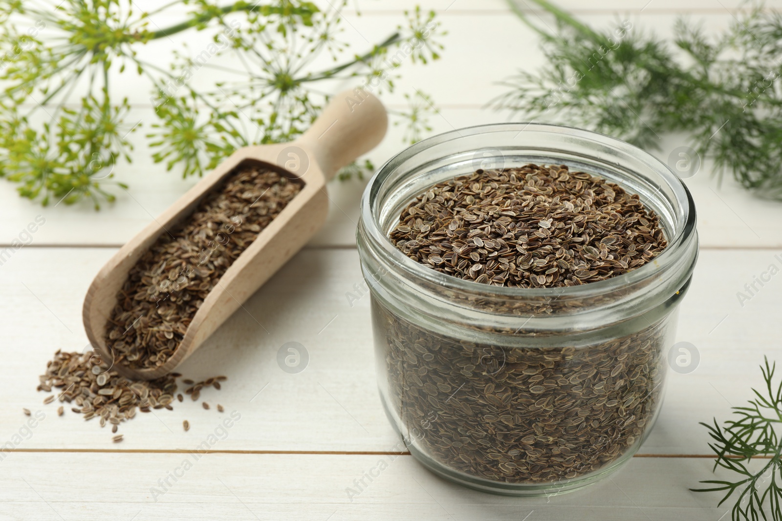 Photo of Dry seeds and fresh dill on white wooden table, selective focus. Space for text