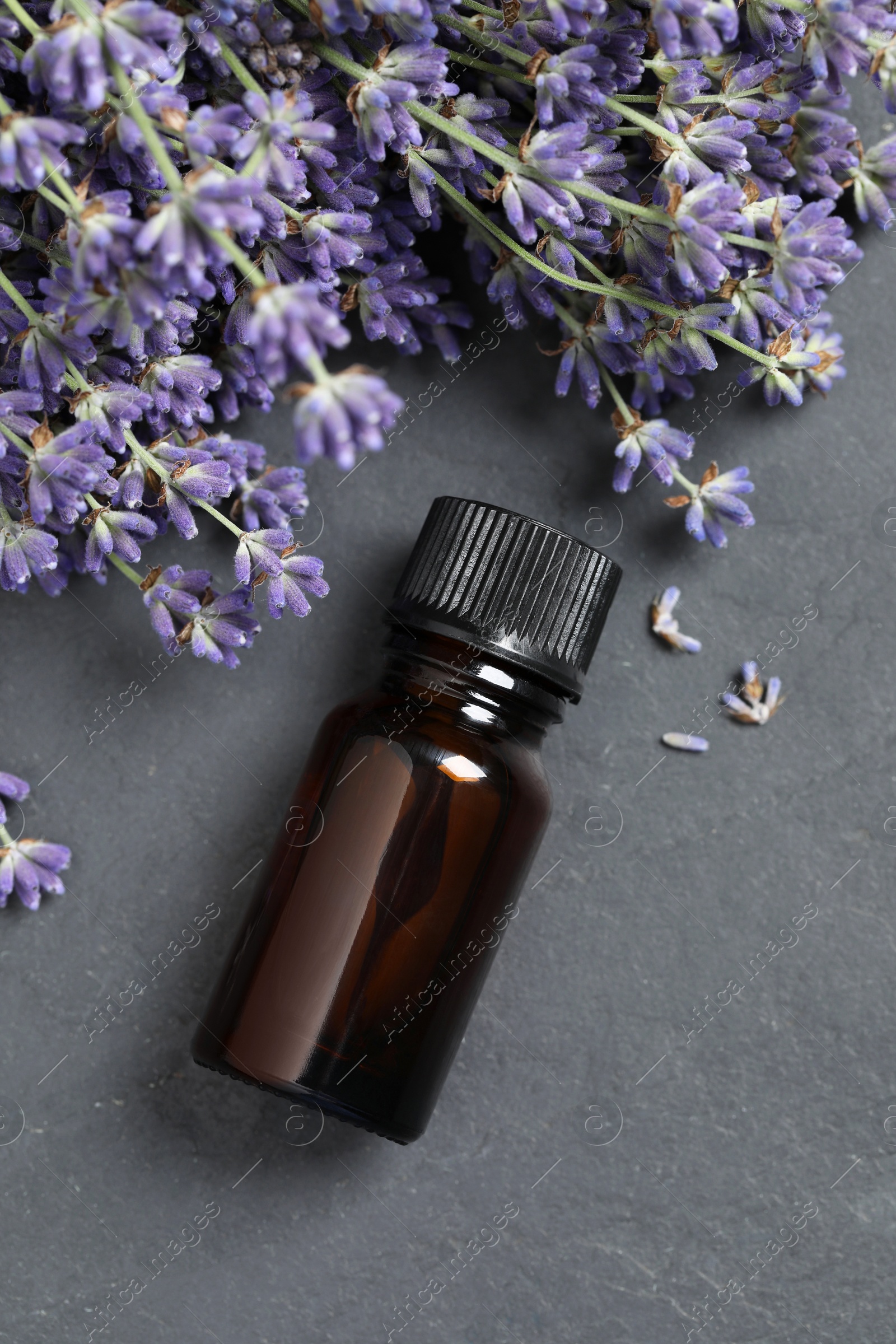 Photo of Bottle with essential oil near lavender on grey textured table, flat lay