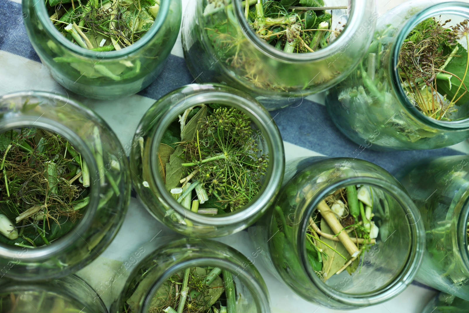 Photo of Glass jars with different herbs on table, flat lay. Pickling vegetables