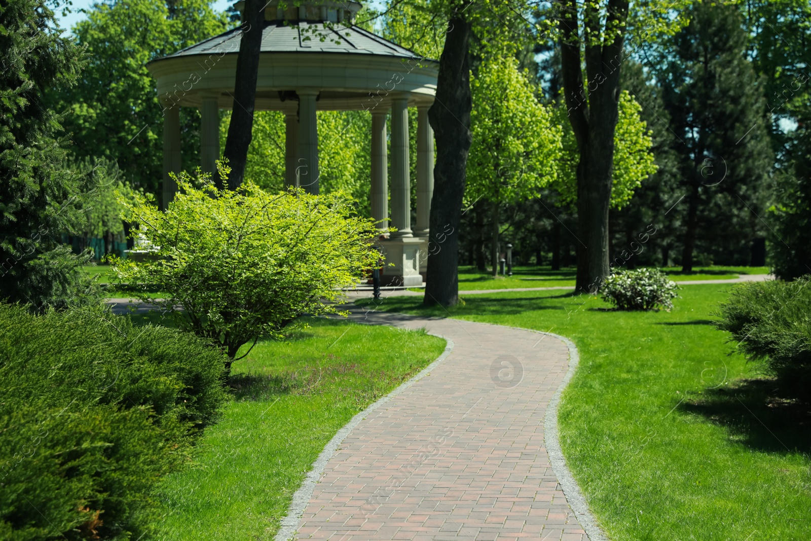 Photo of Picturesque view of beautiful park with fresh green grass and trees