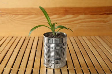 Photo of Chlorophytum plant in tin can on wooden table