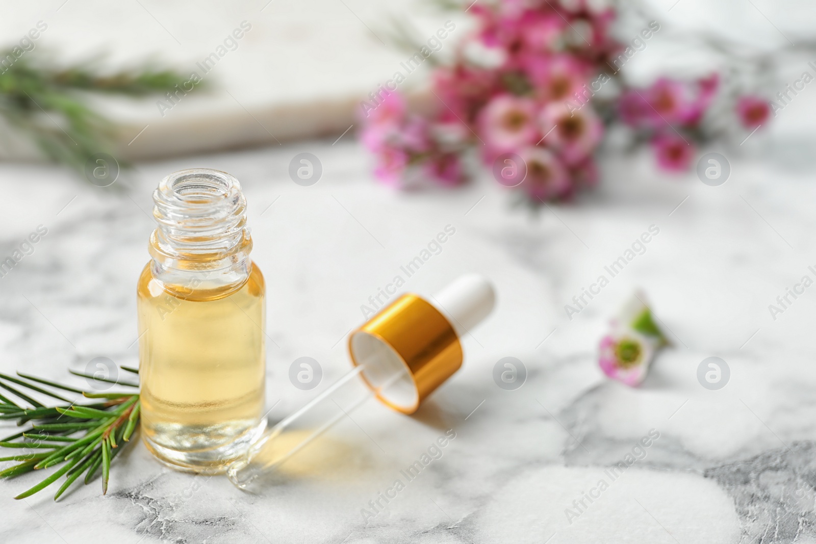 Photo of Composition with bottle of natural tea tree oil on white marble table. Space for text