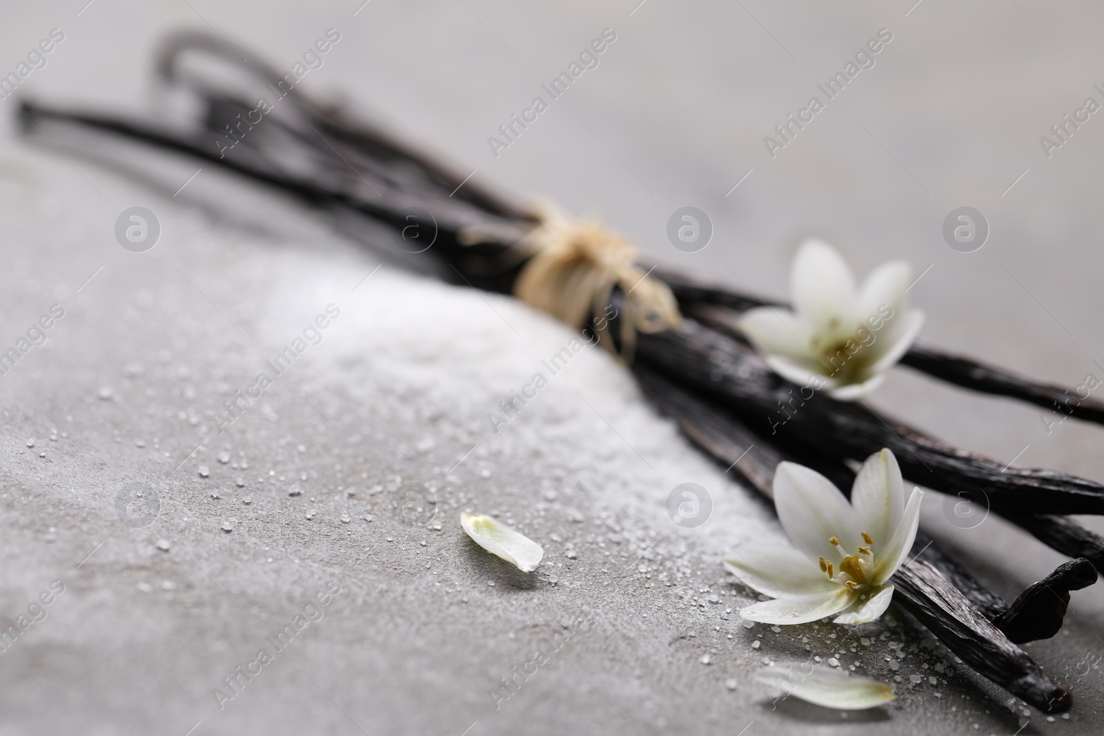 Photo of Vanilla pods, sugar, flowers and petals on gray textured table, closeup