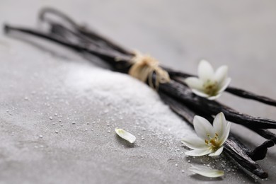 Photo of Vanilla pods, sugar, flowers and petals on gray textured table, closeup