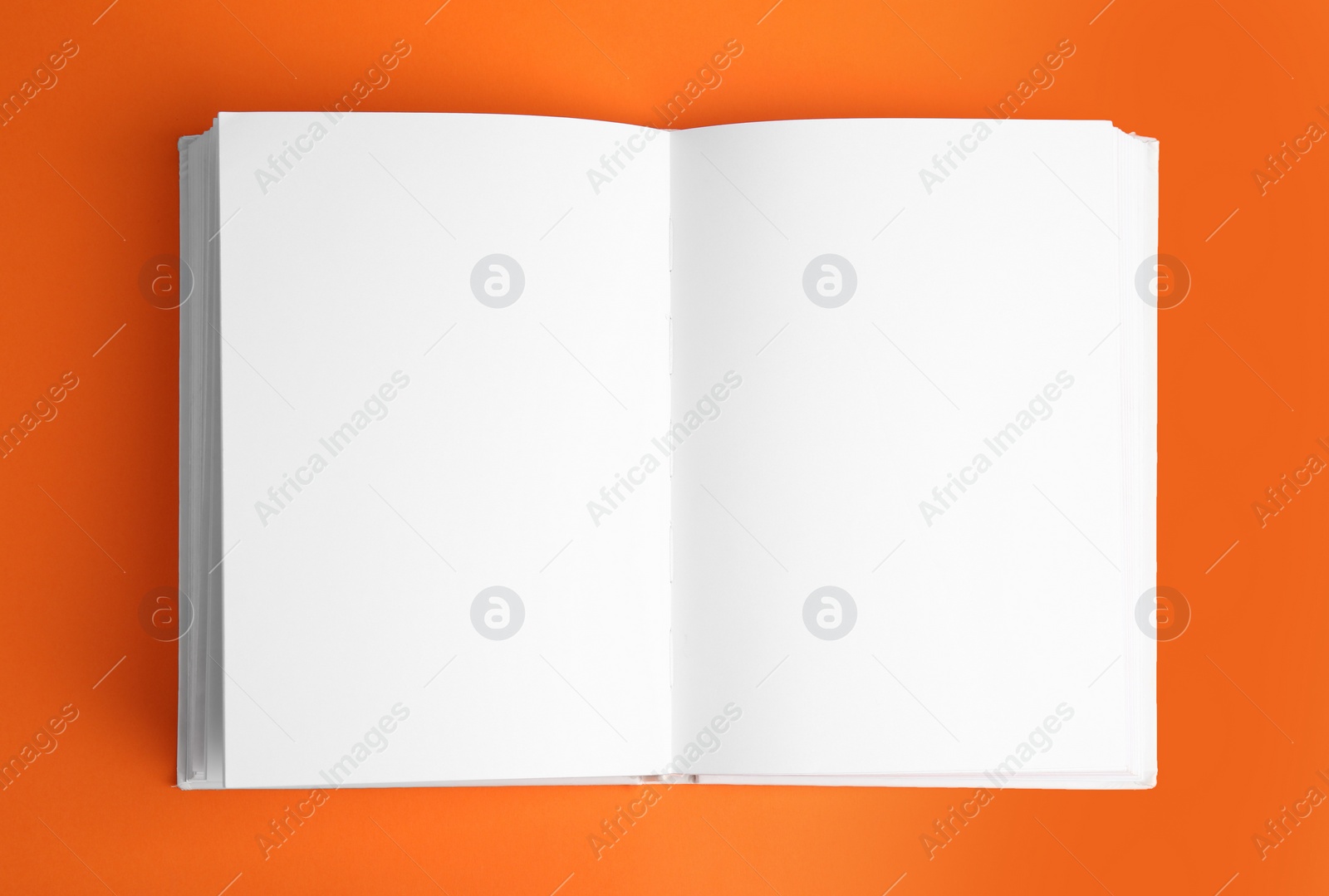 Photo of Open book with blank pages on orange background