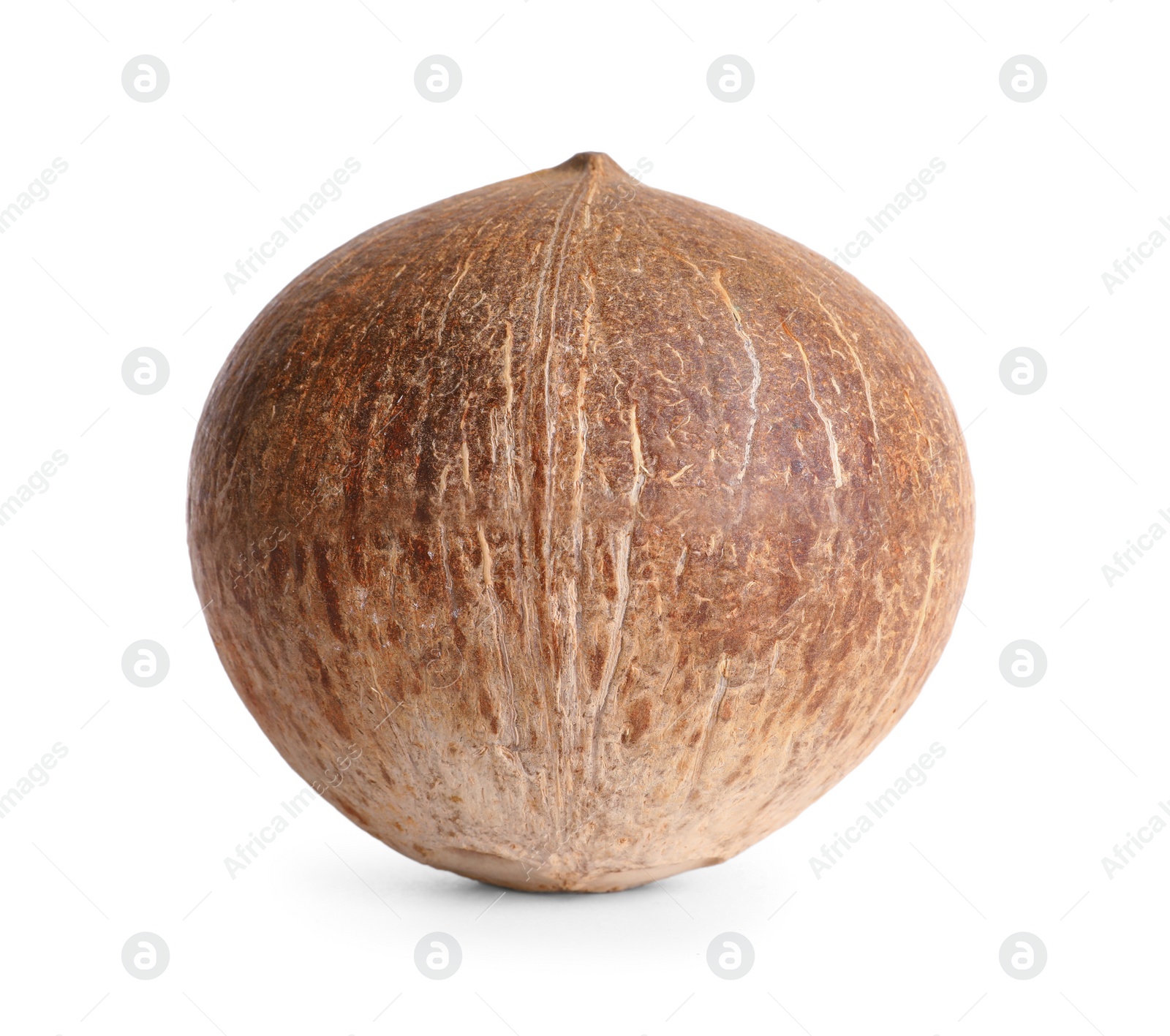 Photo of Ripe whole brown coconut on white background