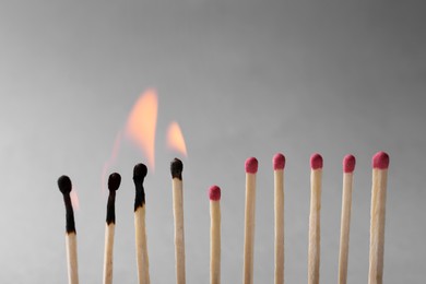 Photo of Burning and whole matches on light grey background, closeup. Stop destruction by breaking chain reaction concept