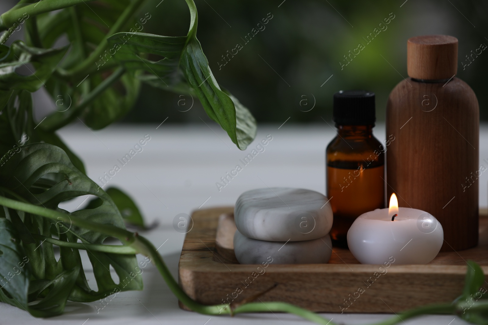 Photo of Beautiful composition with different spa products and green leaves on white table, closeup