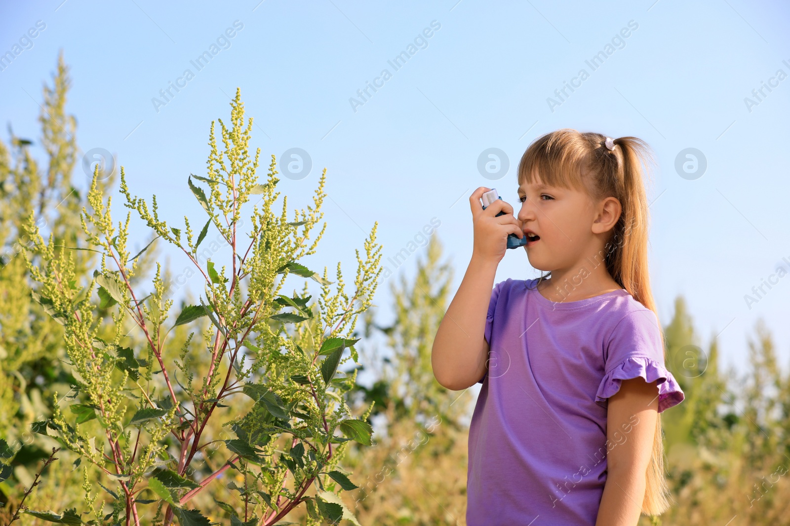 Photo of Little girl with inhaler suffering from ragweed allergy outdoors