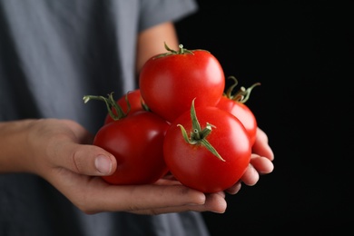 Farmer holding fresh ripe tomatoes, closeup view