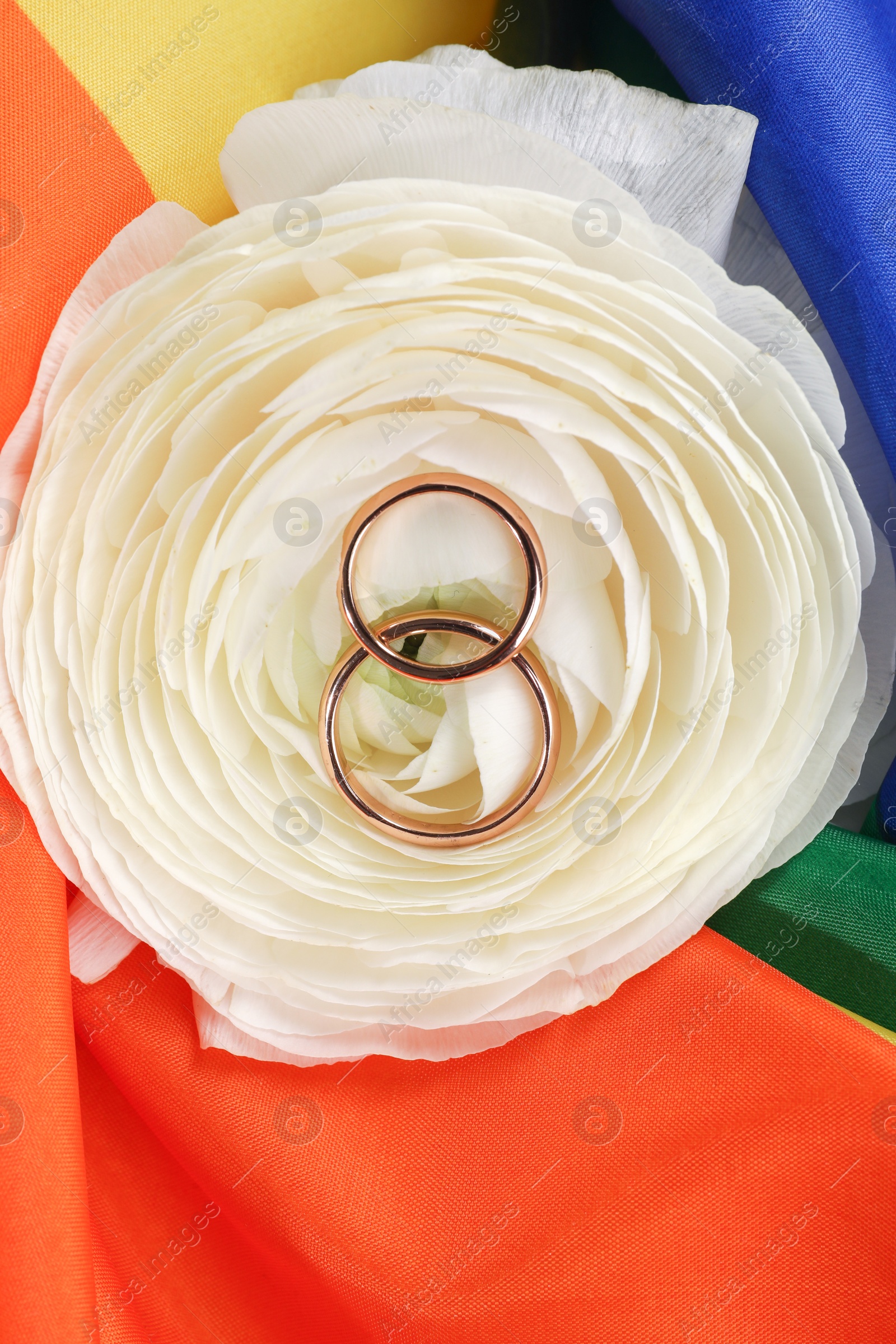 Photo of Wedding rings and flower on rainbow LGBT flag, top view