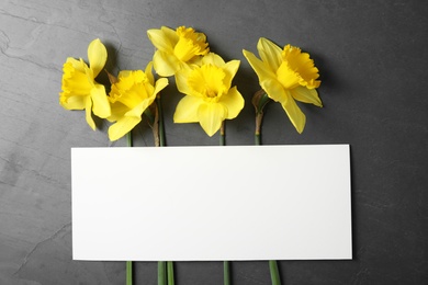 Photo of Flat lay composition with daffodils and card on dark background, space for text. Fresh spring flowers